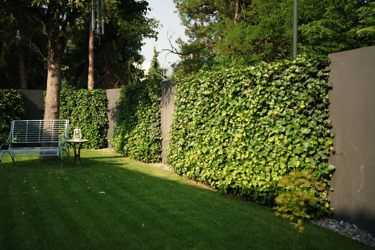 Außenanlagen und Sichtschutz